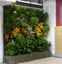 Living Wall